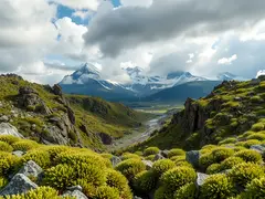 極端環境中的微生物與生存策略